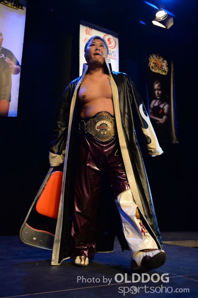 Wrestling (93)