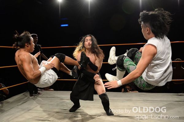 Wrestling (101)