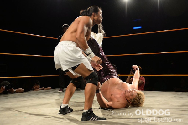 Wrestling (111)