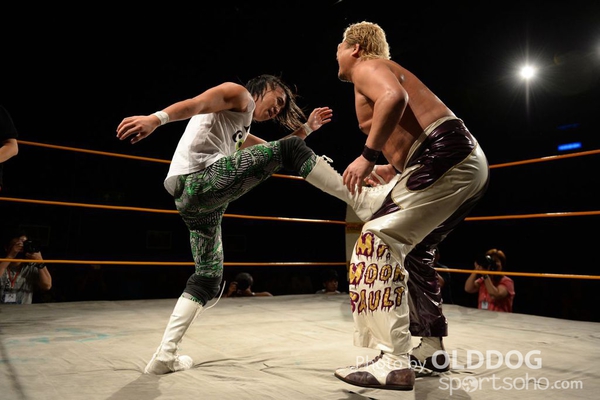 Wrestling (116)
