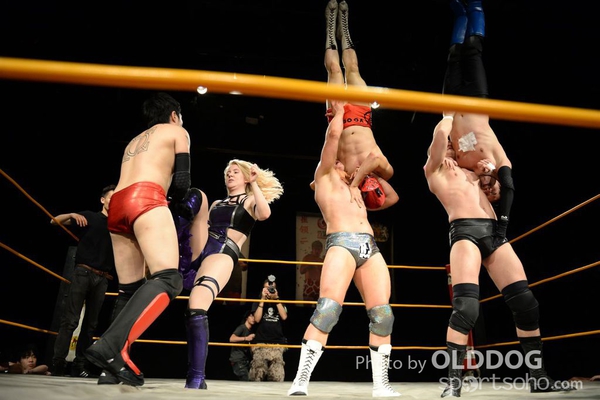 Wrestling (137)