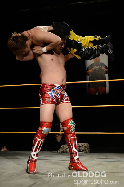 Wrestling (165)