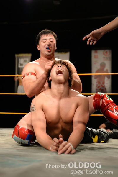 Wrestling (173)