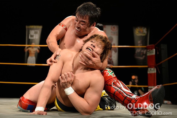 Wrestling (177)