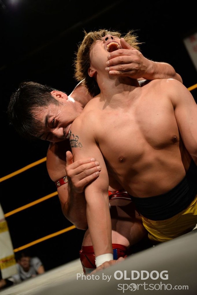 Wrestling (181)