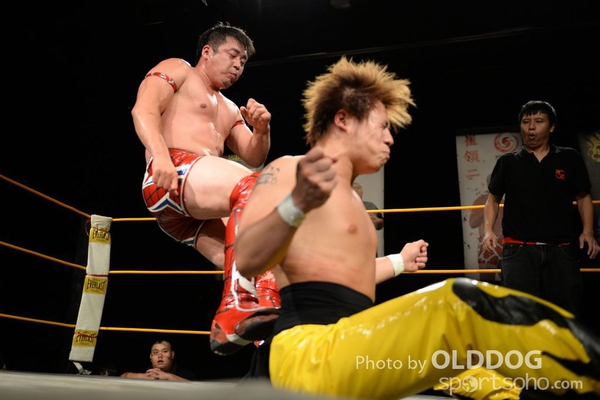 Wrestling (182)
