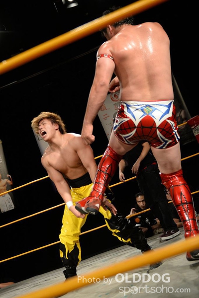 Wrestling (183)