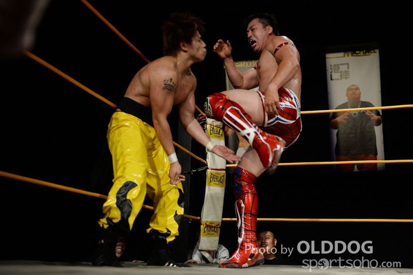 Wrestling (185)