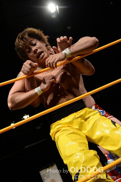 Wrestling (191)