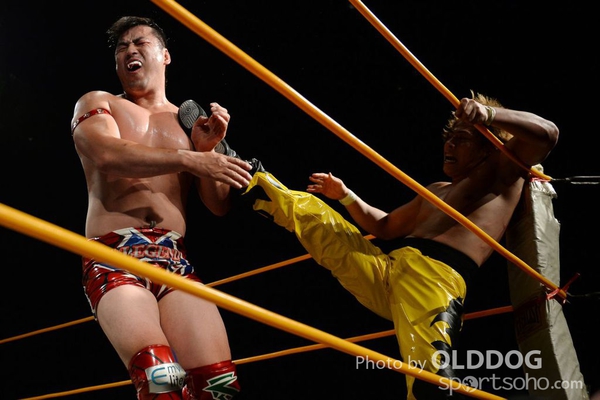 Wrestling (194)