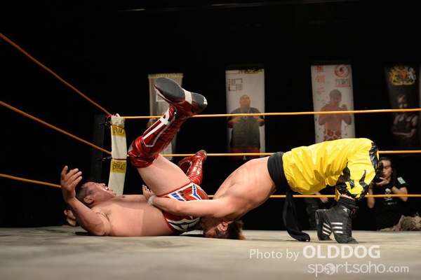 Wrestling (196)