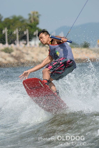 Wakefest (460)
