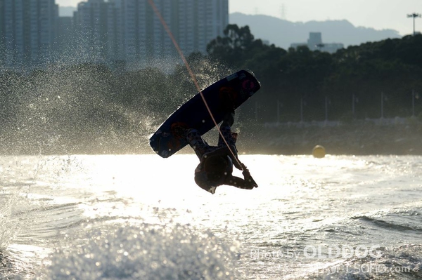 Wakefest (596)