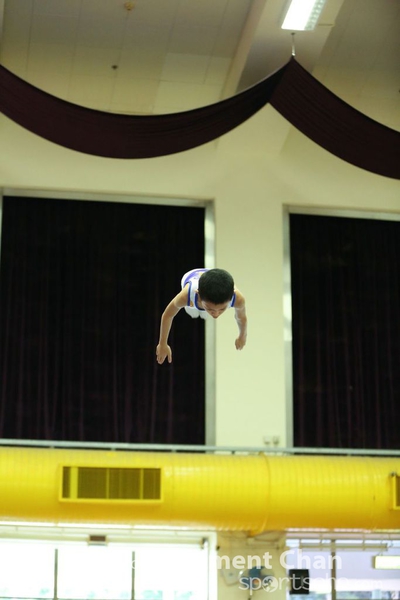 Trampoline_306