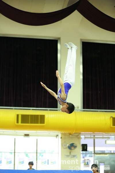 Trampoline_308