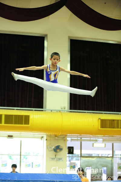 Trampoline_310