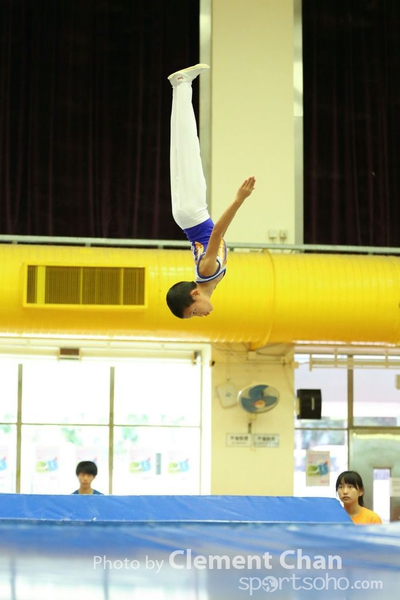 Trampoline_311