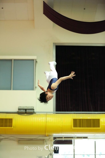 Trampoline_317