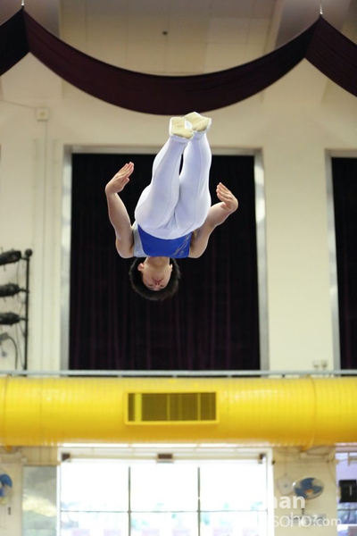 Trampoline_341