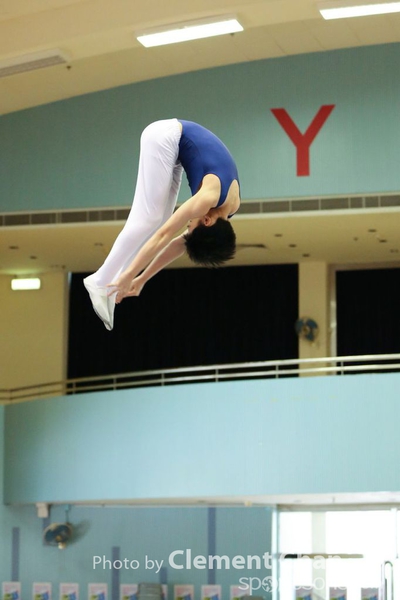 Trampoline_349
