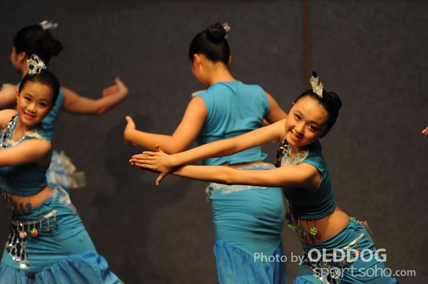 Melodies (221)