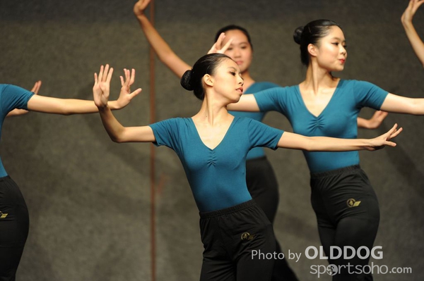Melodies (241)