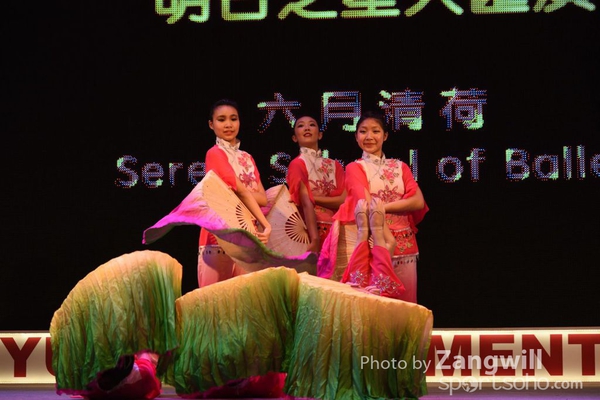 ZC0_4910_656