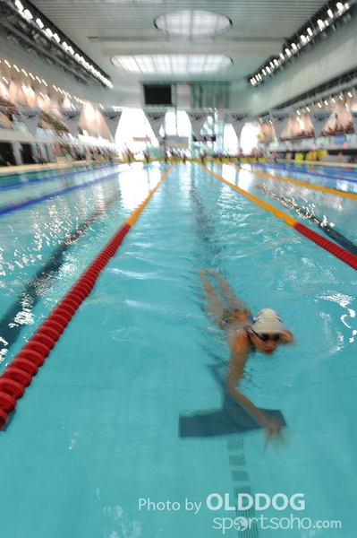 Swimming (140)