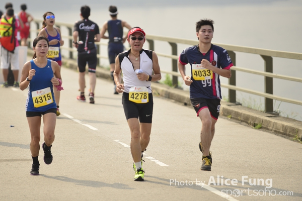 alice_ALF8411