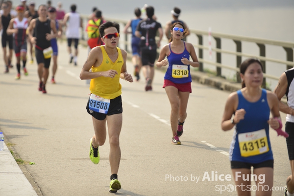 alice_ALF8413