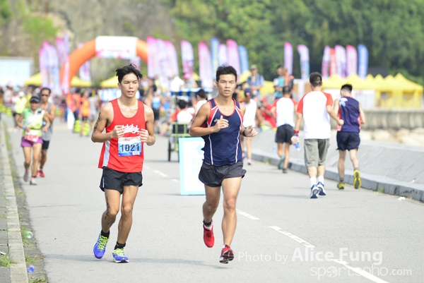 alice_ALF8575