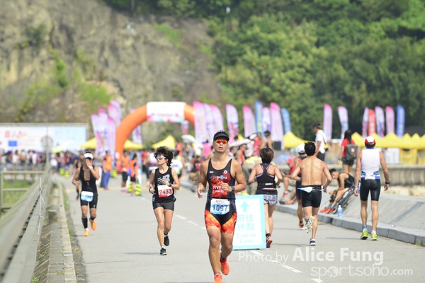 alice_ALF8753
