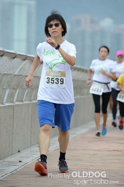 Heifer3 (40)