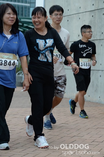 Heifer3 (99)