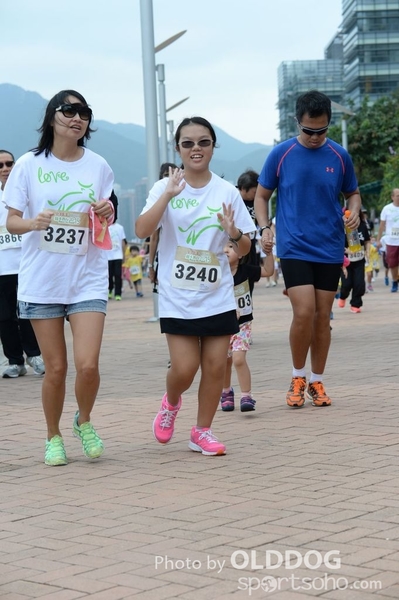 Heifer3 (182)