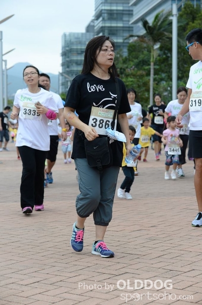 Heifer3 (203)
