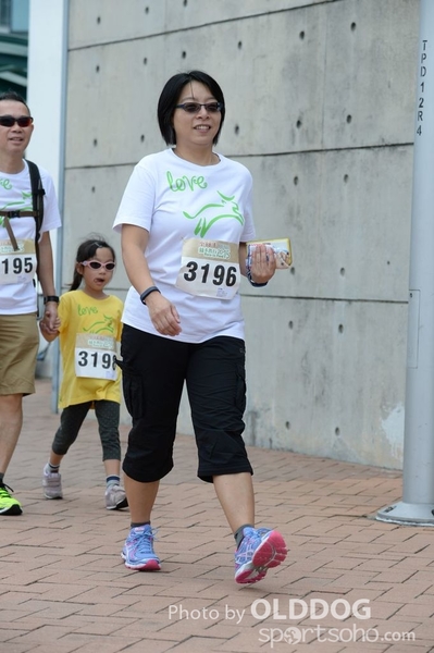 Heifer3 (264)