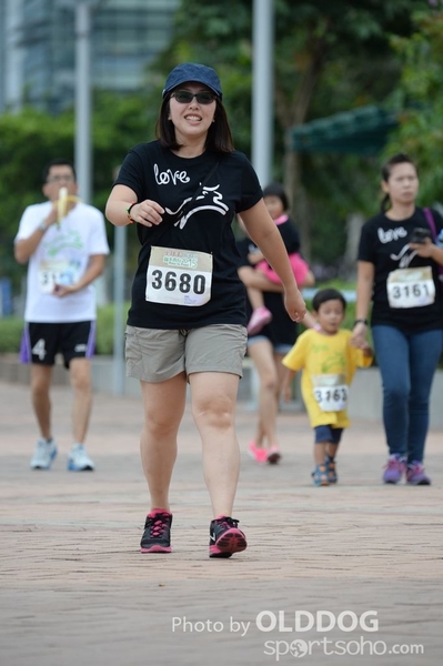 Heifer3 (284)