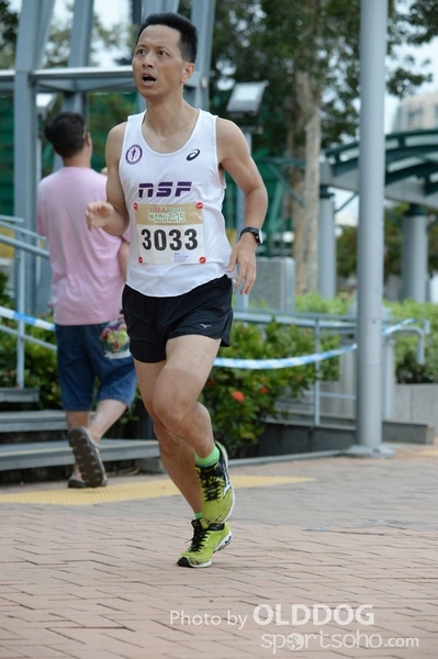 Heifer3 (285)