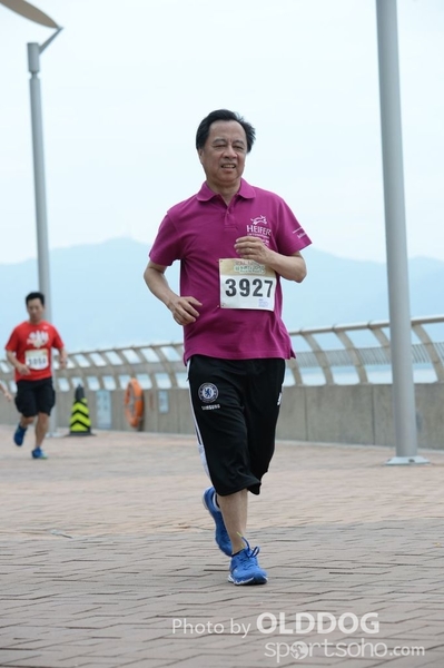 Heifer3 (355)