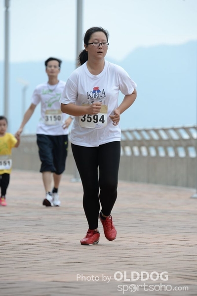 Heifer3 (372)