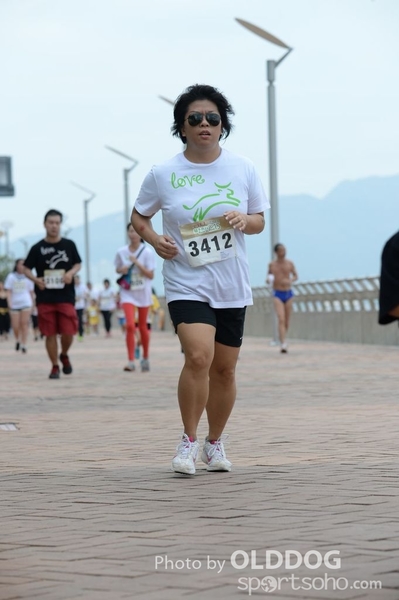 Heifer3 (444)