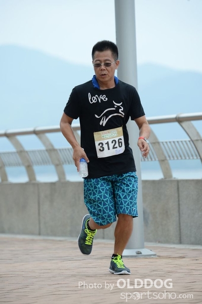 Heifer3 (500)