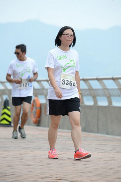 Heifer3 (546)