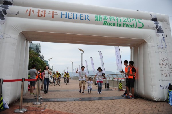 Heifer3 (809)