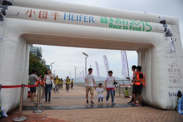 Heifer3 (811)