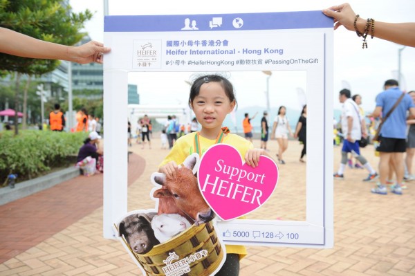 Heifer3 (820)
