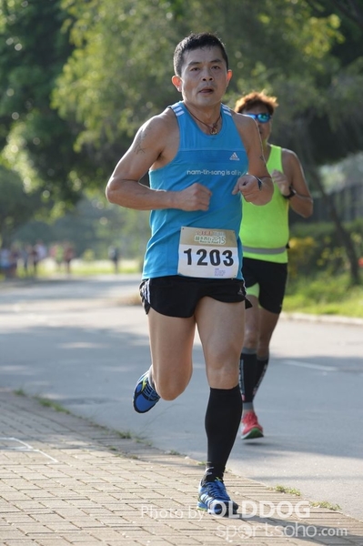 Heifer10 (26)