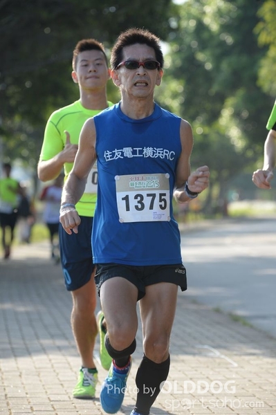Heifer10 (31)