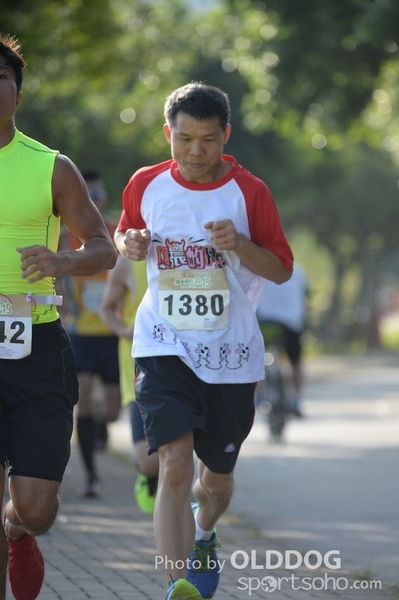 Heifer10 (34)